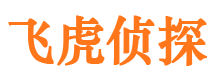 洛隆市婚姻调查